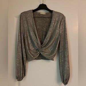 Silver long sleeve cropped top